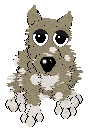 Virginia